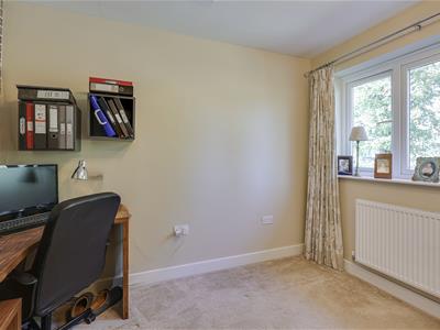 Picture 20